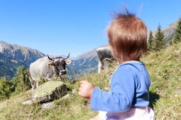 child and cow in the field