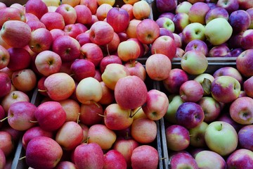 Fresh red and yellow apples at a farmers market in the fall