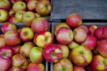 Fresh red and yellow apples at a farmers market in the fall