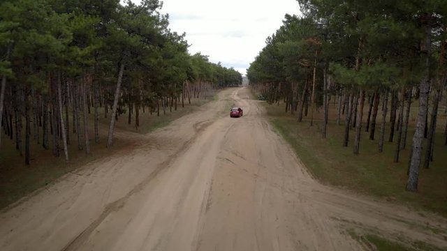 Scene with aerial top view tracking red car route between forest of trees next to gray auto during rest and picnic. Cinematic drone shot video of flight over gravel sandy road in pine forest