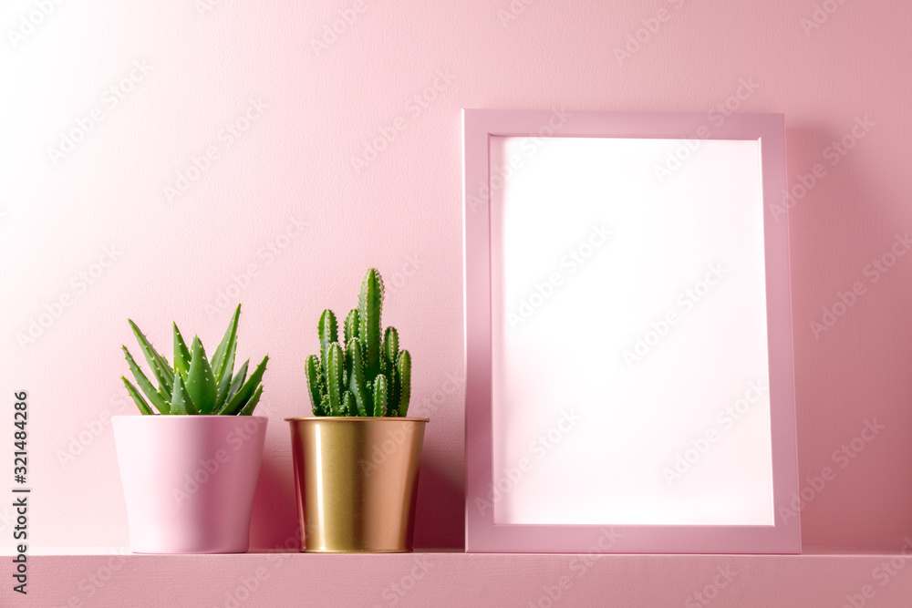 Wall mural pink frame with succulent plants