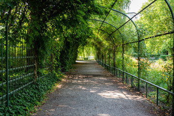 The tunnel in the garden