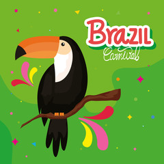 poster of brazil carnival with toucan and decoration