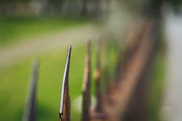 The Fence in the Garden