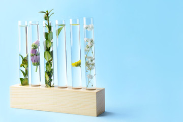 Test tubes with plants on color background