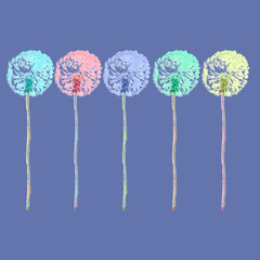 Dandelion flower in various colors. Seamless patterns, borders and frames for greeting cards