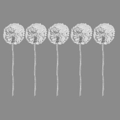 Dandelion flower in various colors. Seamless patterns, borders and frames for greeting cards