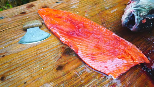 Inuit Ulu Knife cleaning salmon in Alaska