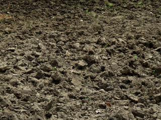soil on the ground texture