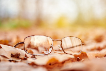 Autumn vision loss concept