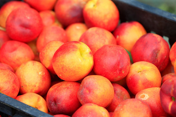 Many ripe peaches are together