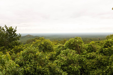 scenic view overlooking the forest in Africa