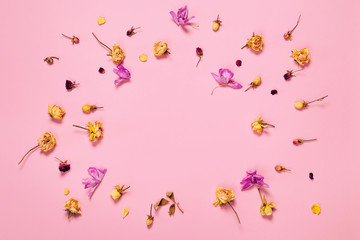 Flower composition made of dried rose and orchids buds  on pastel background.