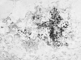 mold on wall texture