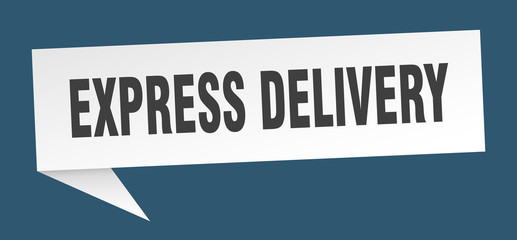 express delivery speech bubble. express delivery ribbon sign. express delivery banner