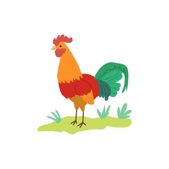 Obraz na płótnie Canvas Colorful cartoon rooster standing on green grass - flat vector illustration