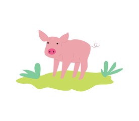 Cute pink pig or piglet character or icon, flat vector illustration isolated.