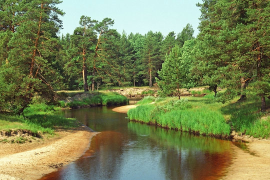 Meschera, river Buja