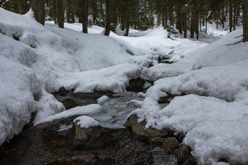 Mountain stream in the winter Carpathian Mountains. The path to the highest mountain of Ukraine-Hoverla