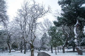 a park of trees and a small snowy pathway in a cold day of february in a greek town thessaloniki 