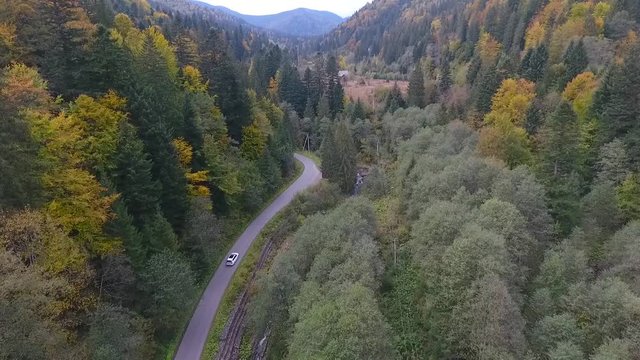 White luxury car drives in the wild Carpathian forest. Aerial view on the wild CArpathian forest. Golf driving in the forest.
