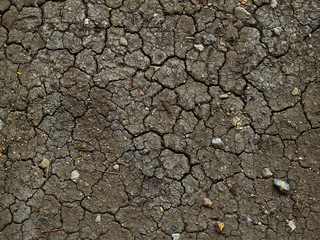 dry ground with crack texture