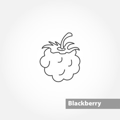 blackberry vector line icon on white background