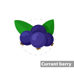 black currant vector flat illustration icon