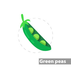 Pea vector flat illustration icon