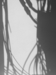 shadow of wire cable on white stone wall