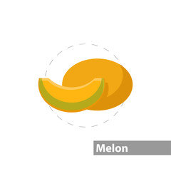 Melon vector flat illustration icon