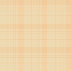 Seamless pattern in amazing beige colors for plaid, fabric, textile, clothes, tablecloth and other things. Vector image.