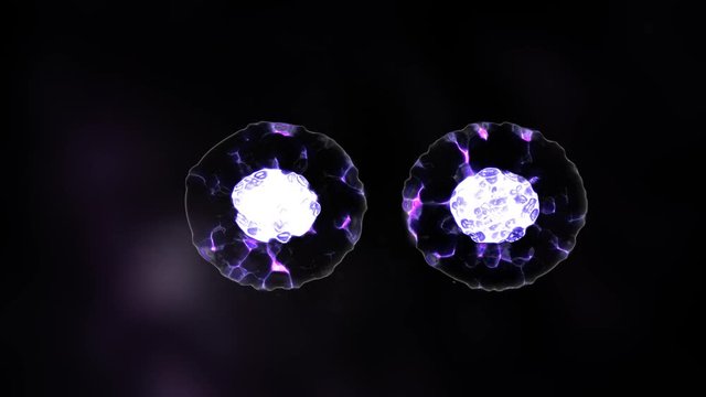 A single cell undergoes mitosis and divides into two cells that are identical