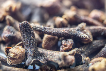 Seasoning dried cloves close-up. Macro photo