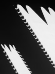 abstract black shadow of Thai pattern art on white wall in temple