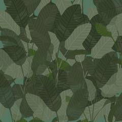 素材　背景　リーフ柄　オーガスタ　南国