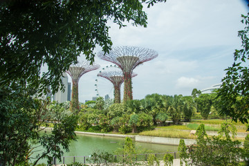 Singapore Gardens by the Bay