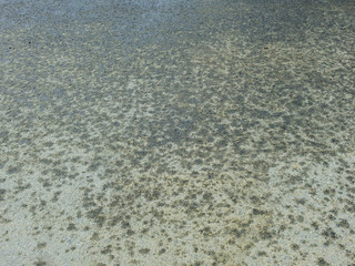 wet asphalt road texture