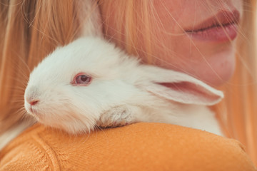 Woman holding cute fluffy rabbit, closeup. Cute bunny.