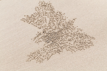 Abstract natural pattern of small wet balls