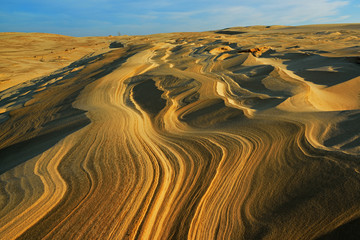 Landscape of the Silver Lake Sand Dunes, Silver Lake State Park, Michigan, USA