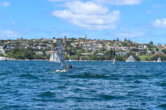 Sydney Wind Surfer