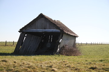 Obraz premium Wood destroyed hut leaning in the meadow