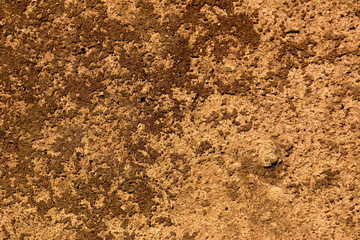 Wall texture grunge background