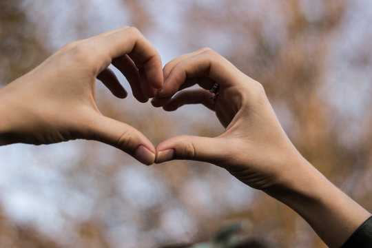 Heart symbol with hands. Nature bokeh background