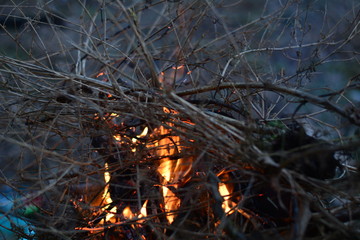 burned firewood in fireplace and fire close up