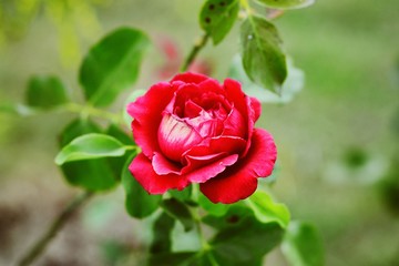 Processed with VSCO with fp2 preset