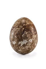 raw quail egg on white
