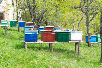 Numerous colorful hives in courtyard