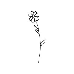 Hand-drawn doodle flower for cards, festive decoration.